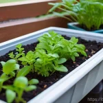 Home 6 버미컴포스팅 운영 시 필요한 도구 - **Prompt 1: Initial Setup and Feeding**
"A person, wearing practical gardening gloves and modest...