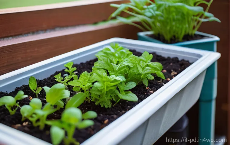 버미컴포스팅 운영 시 필요한 도구 - **Prompt 1: Initial Setup and Feeding**
"A person, wearing practical gardening gloves and modest...
